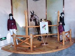 -上海崇明金茂凯悦酒店