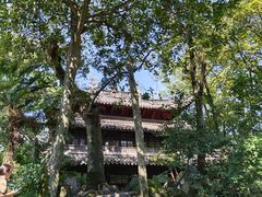 -天一阁博物院