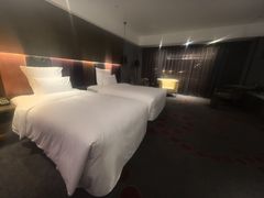 -南京禄口机场雅高铂尔曼大酒店