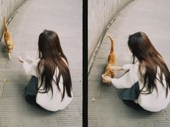 -成都南湖公园
