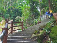 -火炉山森林公园