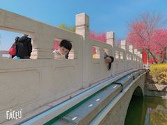-河北省园博园
