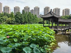 -龙头寺公园
