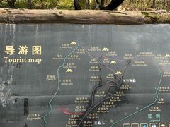-王顺山国家森林公园