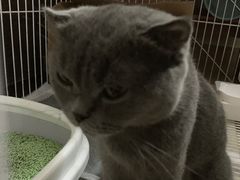 -VT101维多利广场