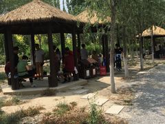 -西青郊野公园