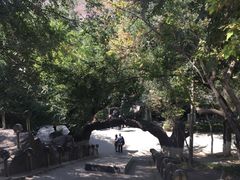 -水磨沟公园