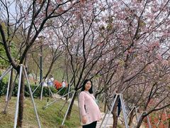-小南山公园
