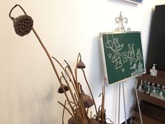 -BLACKSWAN黑天鹅(环球店)