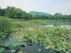 -大蜀山国家森林公园