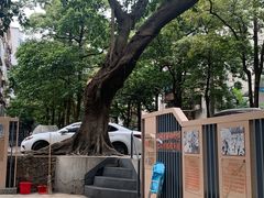 -东山茶寮(新安店)