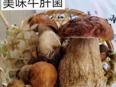 -菌之家·专业纯野生菌火锅·特色炒菌