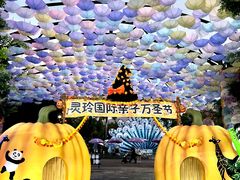 -灵玲国际马戏城