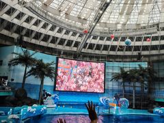 -海合安成都极地海洋公园
