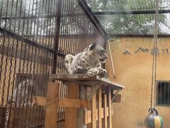 -青藏高原野生动物园