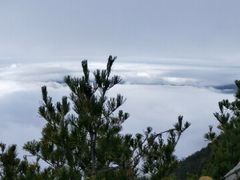 -秦岭天竺山景区