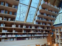 -佛冈森波拉度假区