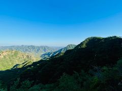 -大岭沟猕猴桃谷风景区