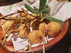 -季季山·云南野生菌火锅(上海首店)