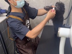 -瑞鹏宠物医院·骨外科·心肾科·肿瘤科(九亭店)