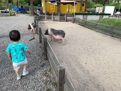 -前小桔亲子创意农场·草莓采摘·露营烧烤