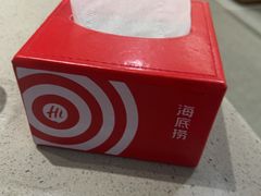 -海底捞火锅(赛格国际购物中心店)