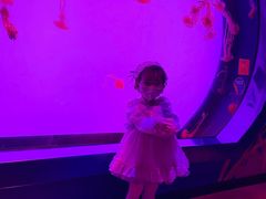 -沈阳海洋探索中心