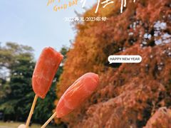 -中国科学院华南植物园