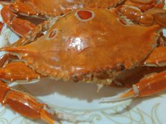 -比亚森自助烤肉料理(裕华店)