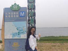 -白洋淀景区