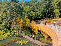 -云溪植物园