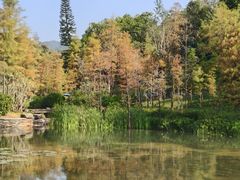 -云溪植物园