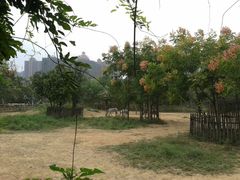 -南昌动物园