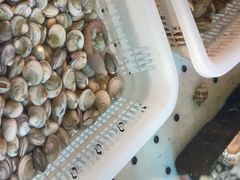 -海立阁海鲜江浙菜(漕河泾印象城店)