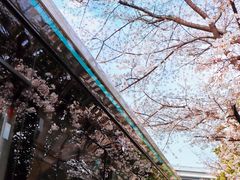 -南浦大桥长途旅游客运站