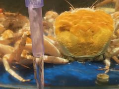 -海景壹号大酒店(滨湖店)