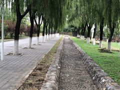 景点-青龙湖公园