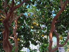 -国家植物园南园