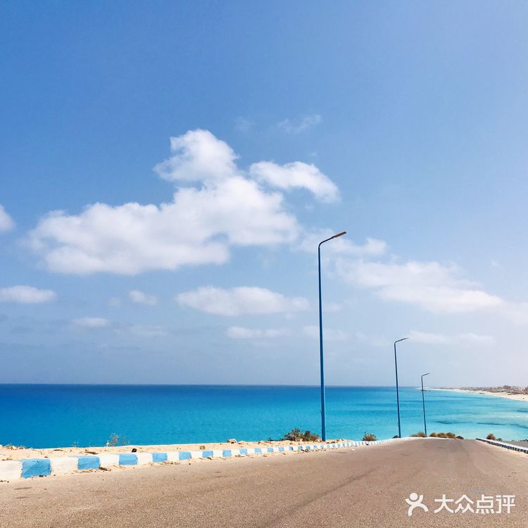 埃及八日游🇪🇬沙特+开罗+亚历山大+地中海
