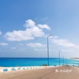埃及八日游🇪🇬沙特+开罗+亚历山大+地中海