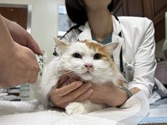 -美联众合动物医院·24h转诊中心