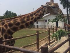 -西安秦岭野生动物园