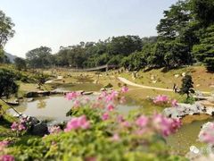 -东莞植物园