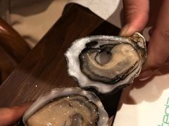 -Osteria Garden 生蚝花园餐厅(原进贤路店)
