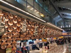 -英迪拉·甘地国际机场