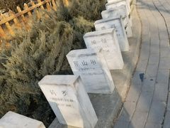 -北京麋鹿生态实验中心