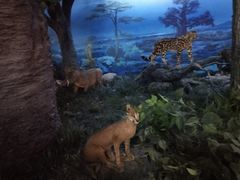 -国家自然博物馆