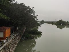 -大湾区中央湿地公园
