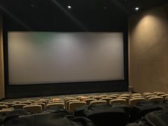 -山文星辉影城(济南和谐广场店)