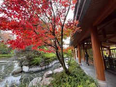 -和顺柏联温泉
